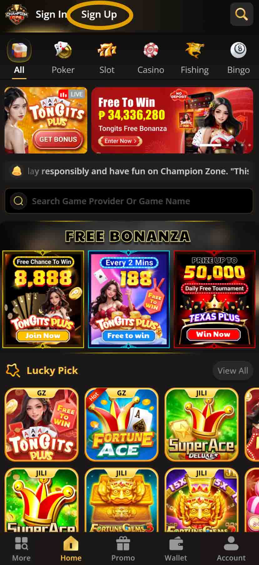 Champion Zone casino register